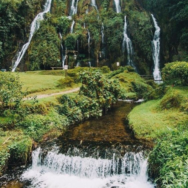 AMAZONAS