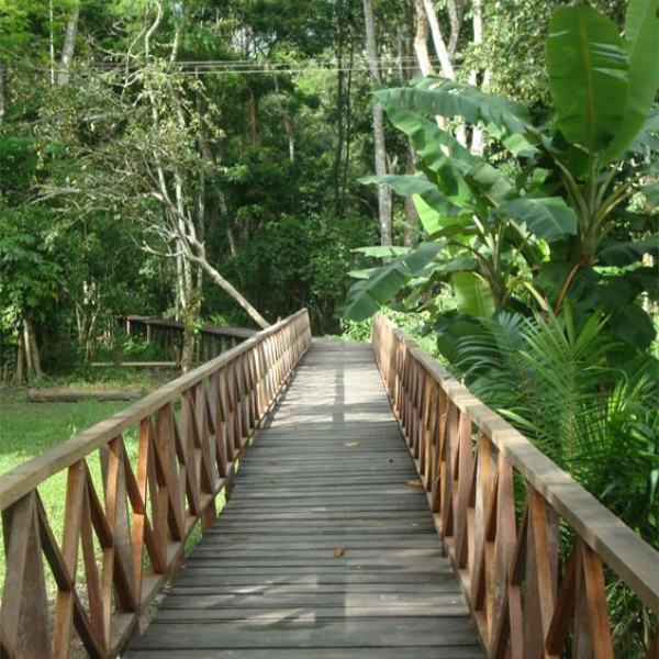 AMAZONAS