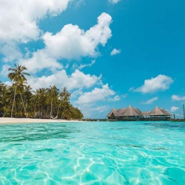 PUNTA CANA (Todo Incluido)